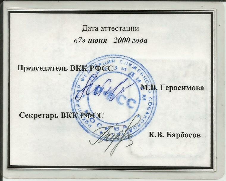Документ или сертификат