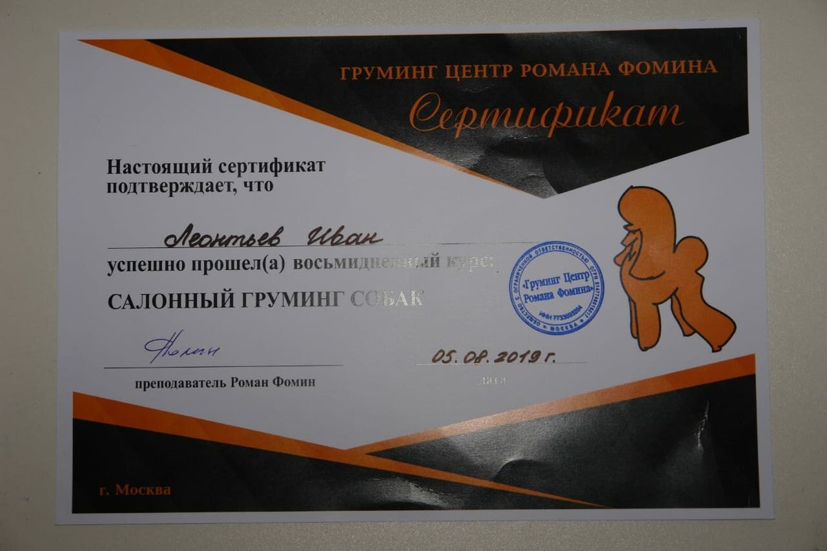 Документ или сертификат
