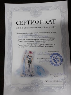 Фото врача Алексеева Ирина