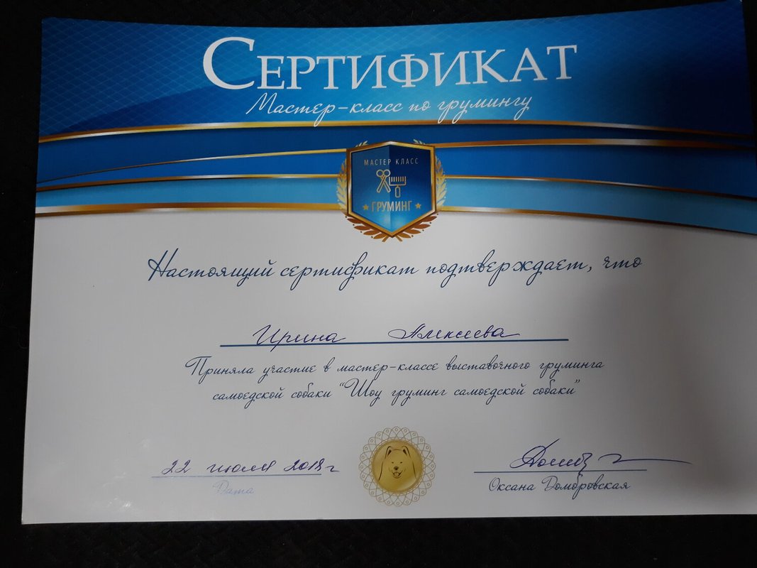 Документ или сертификат