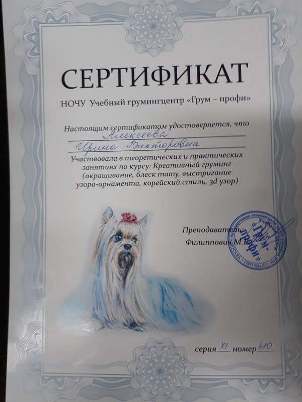 Документ или сертификат