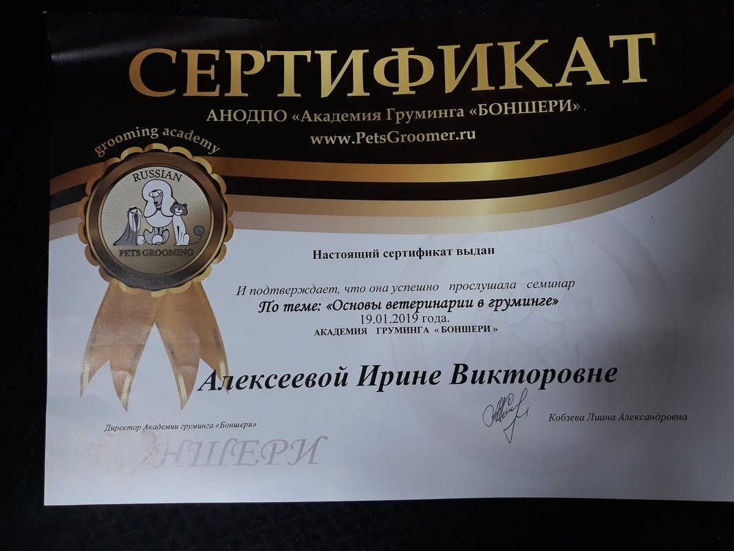 Документ или сертификат