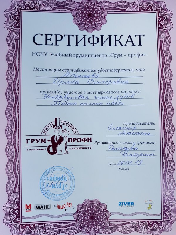 Документ или сертификат