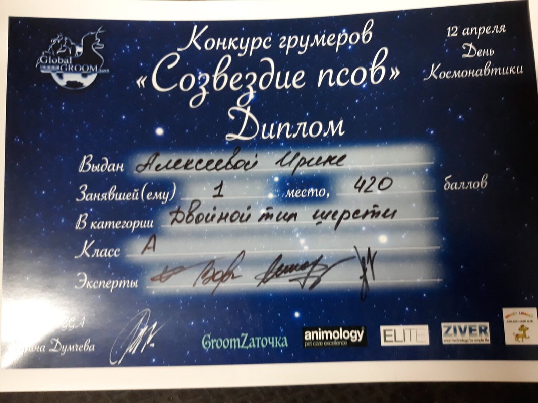 Документ или сертификат