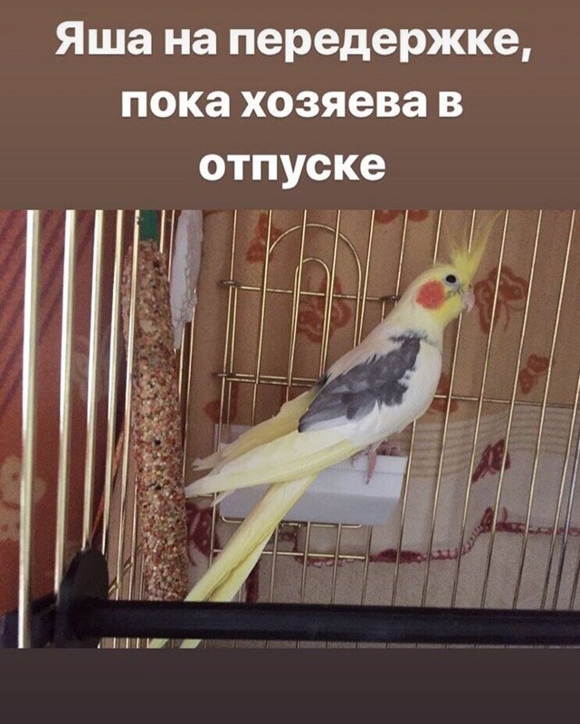 Фото врача