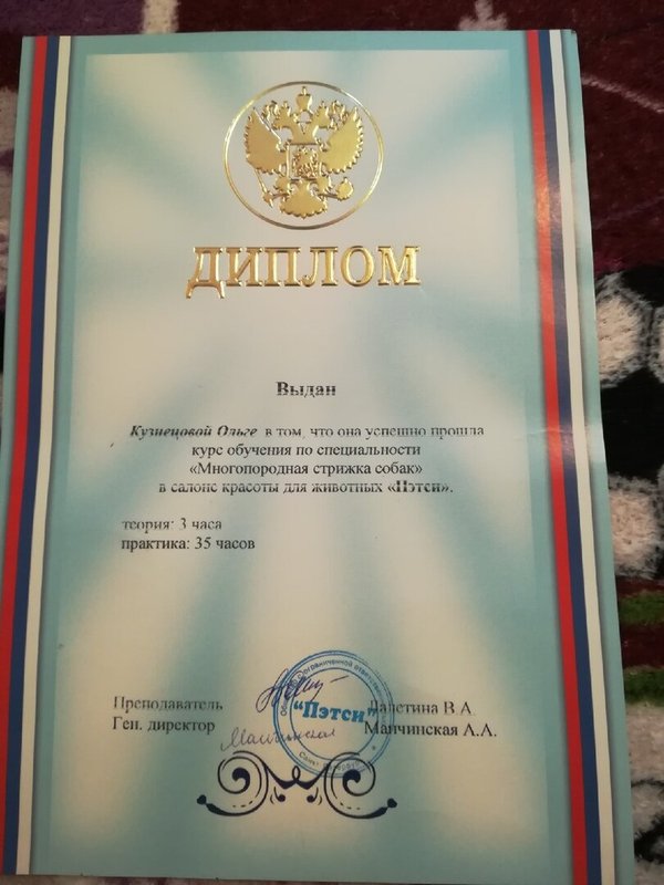 Документ или сертификат