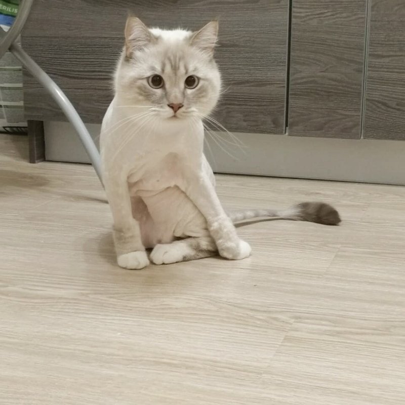 Фото врача