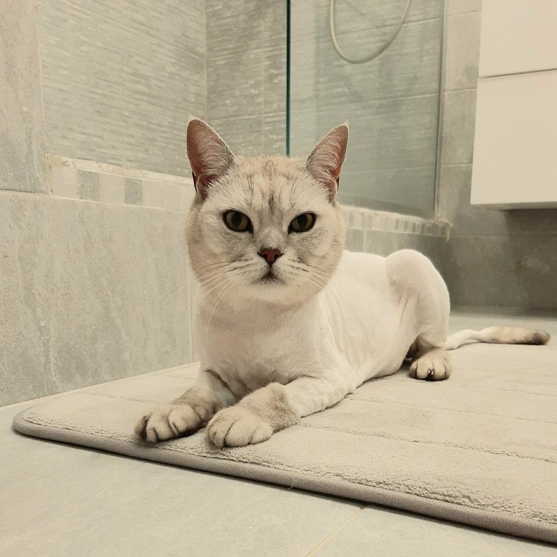 Фото врача