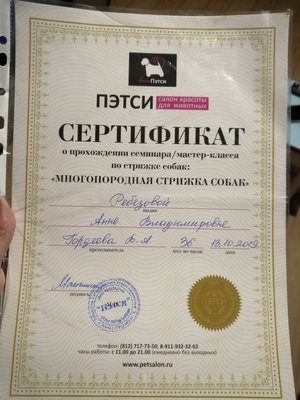 Фото врача Ребезова Анна