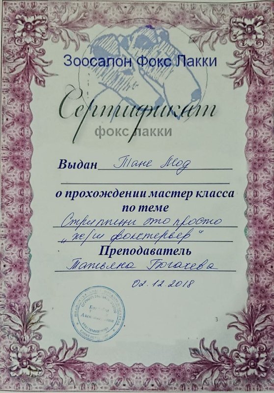 Документ или сертификат