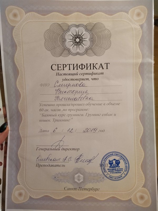 Документ или сертификат