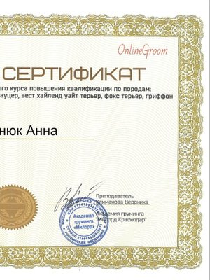 Фото врача Анна Боднюк