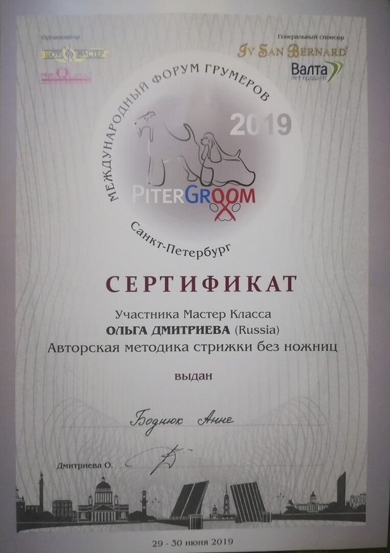 Документ или сертификат