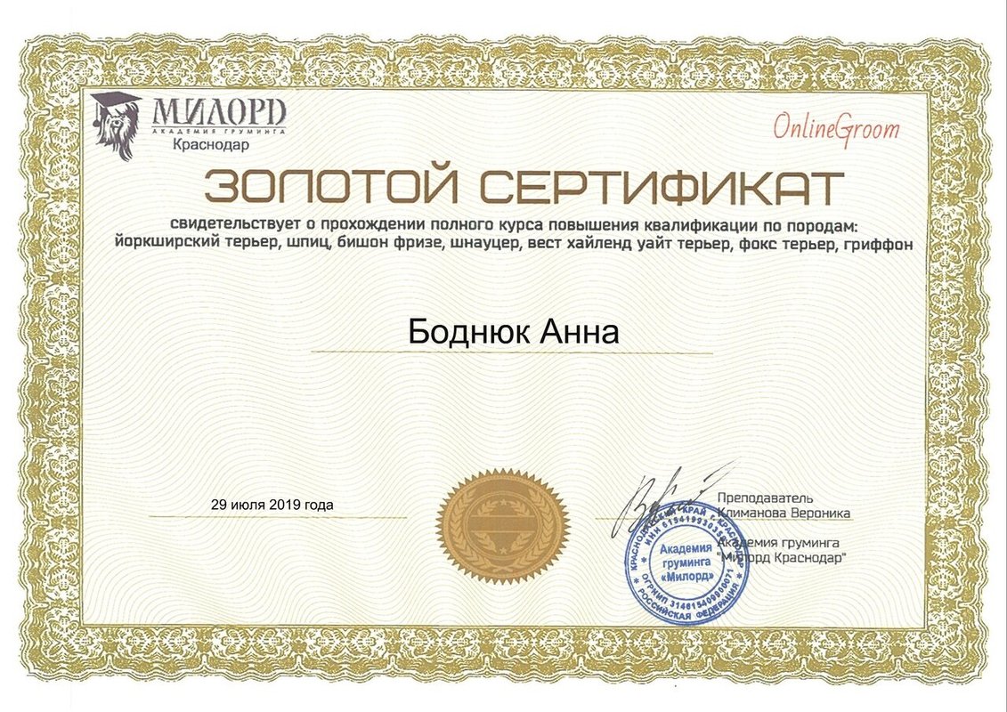 Документ или сертификат