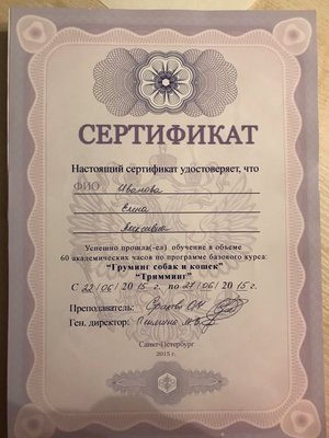Фото врача Иванова Елена