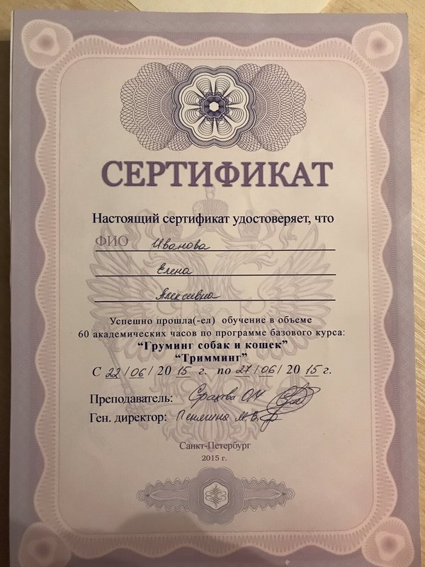 Документ или сертификат