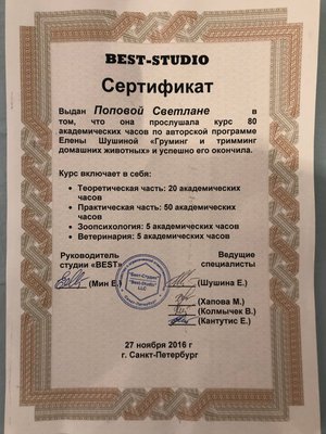 Фото врача Попова Светлана