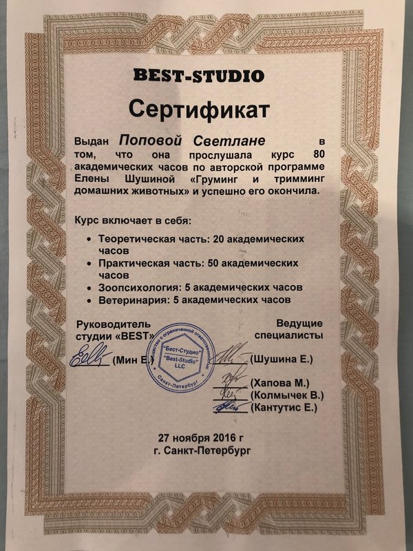 Документ или сертификат