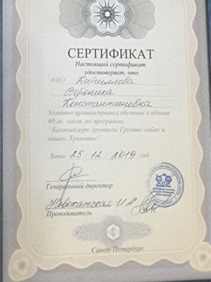 Фото врача Ника К.