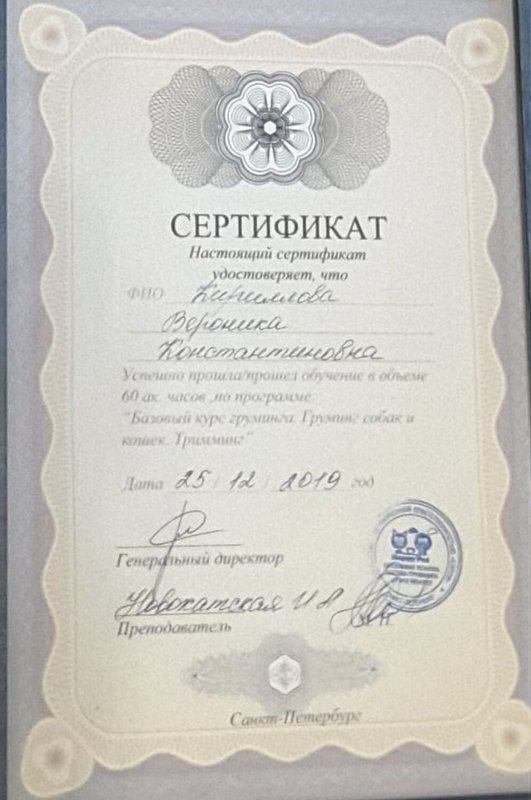 Документ или сертификат