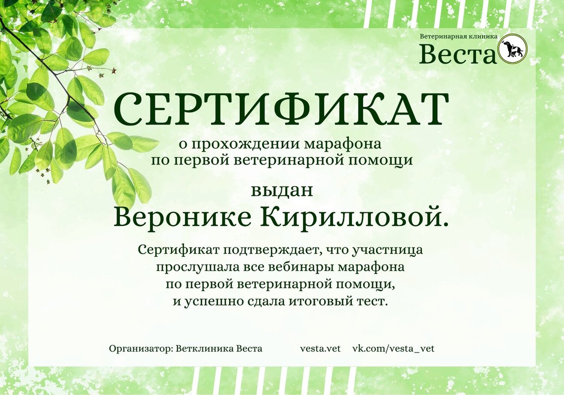 Документ или сертификат