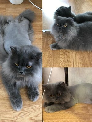 Фото врача Клепикова Анастасия