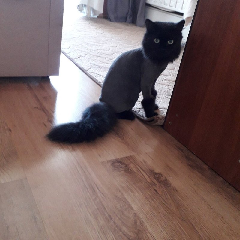 Фото врача