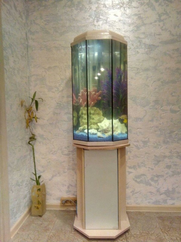 Фото врача