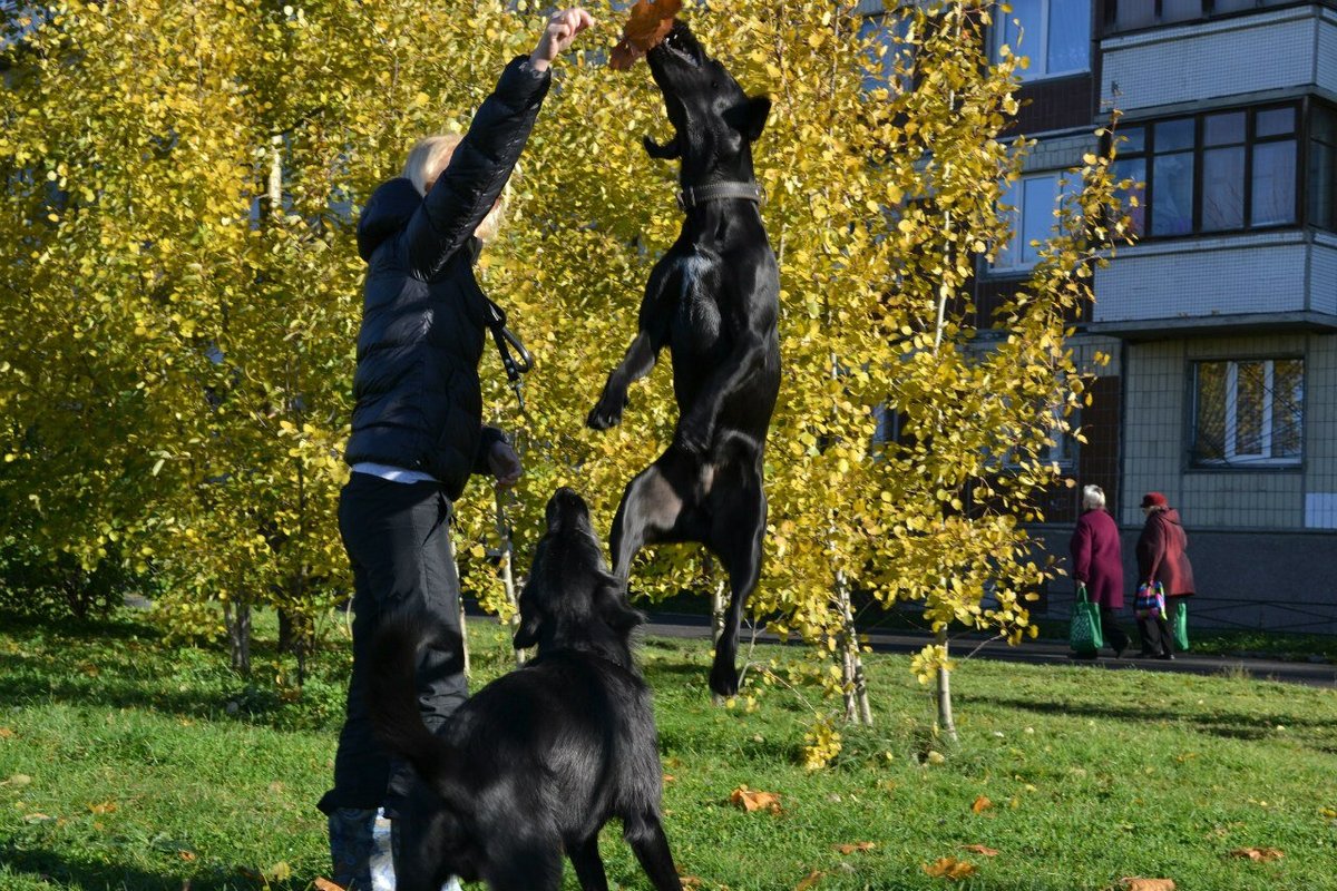 Фото врача