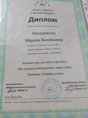 Фото «Мещерякова Марина»