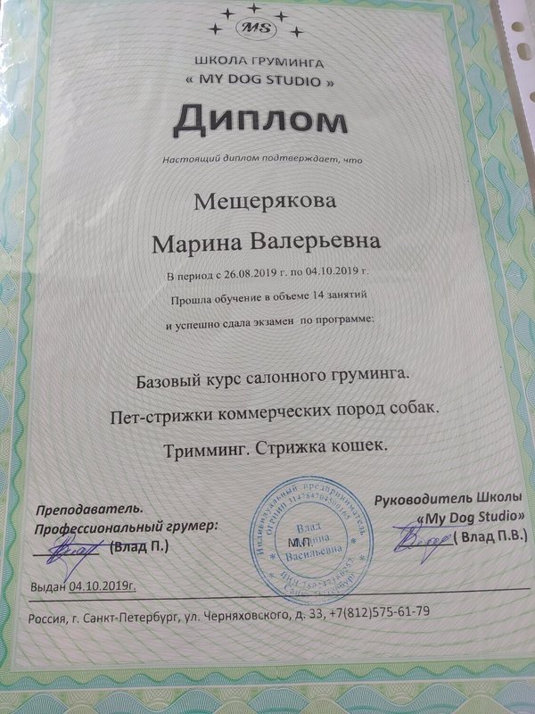 Документ или сертификат