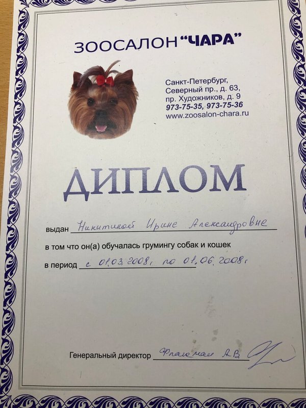 Документ или сертификат