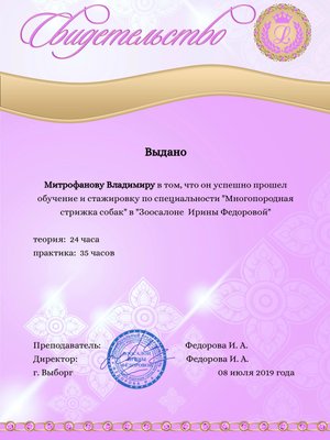 Фото врача Митрофанов Владимир