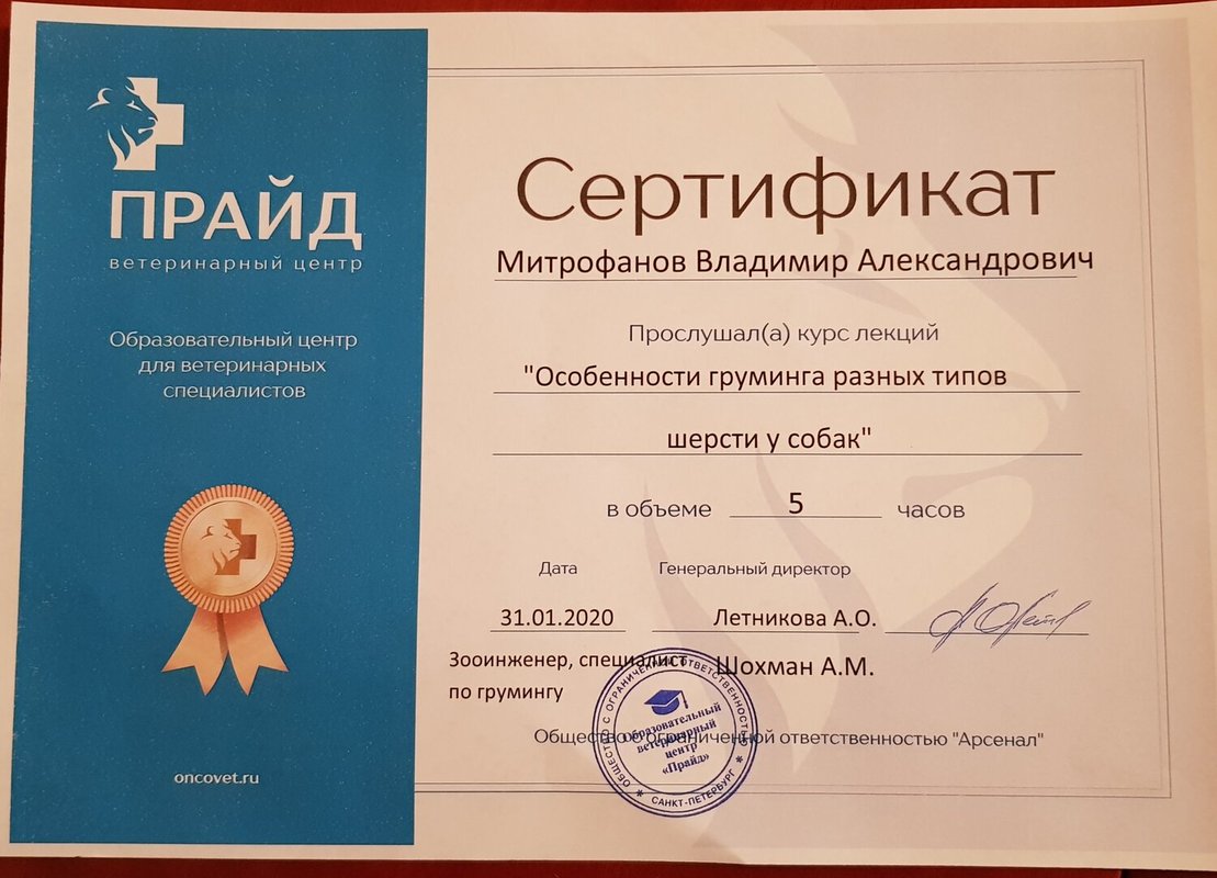 Документ или сертификат