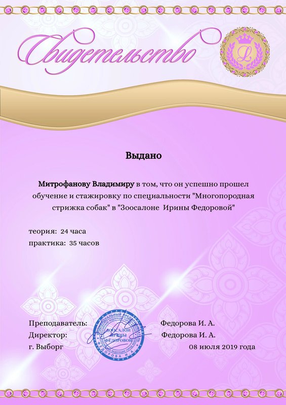 Документ или сертификат