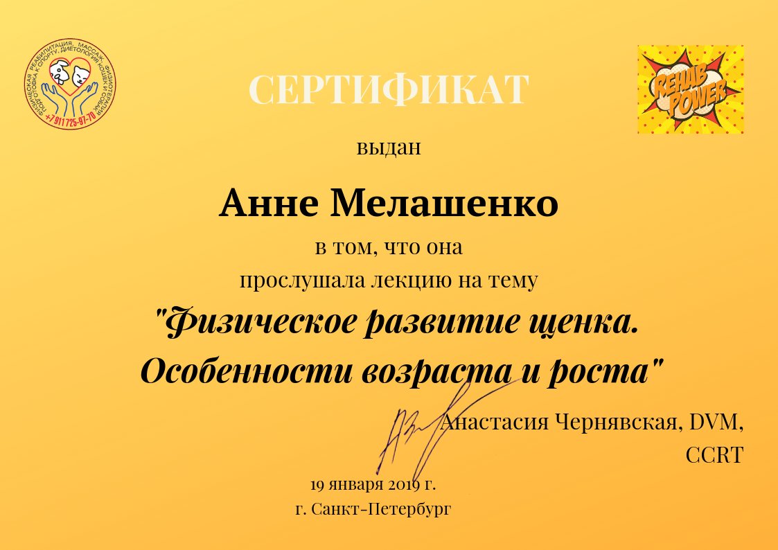 Документ или сертификат