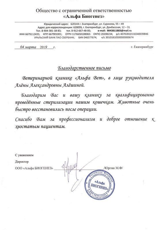 Документ или сертификат