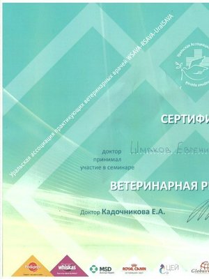 Фото «Евгений Ш.»
