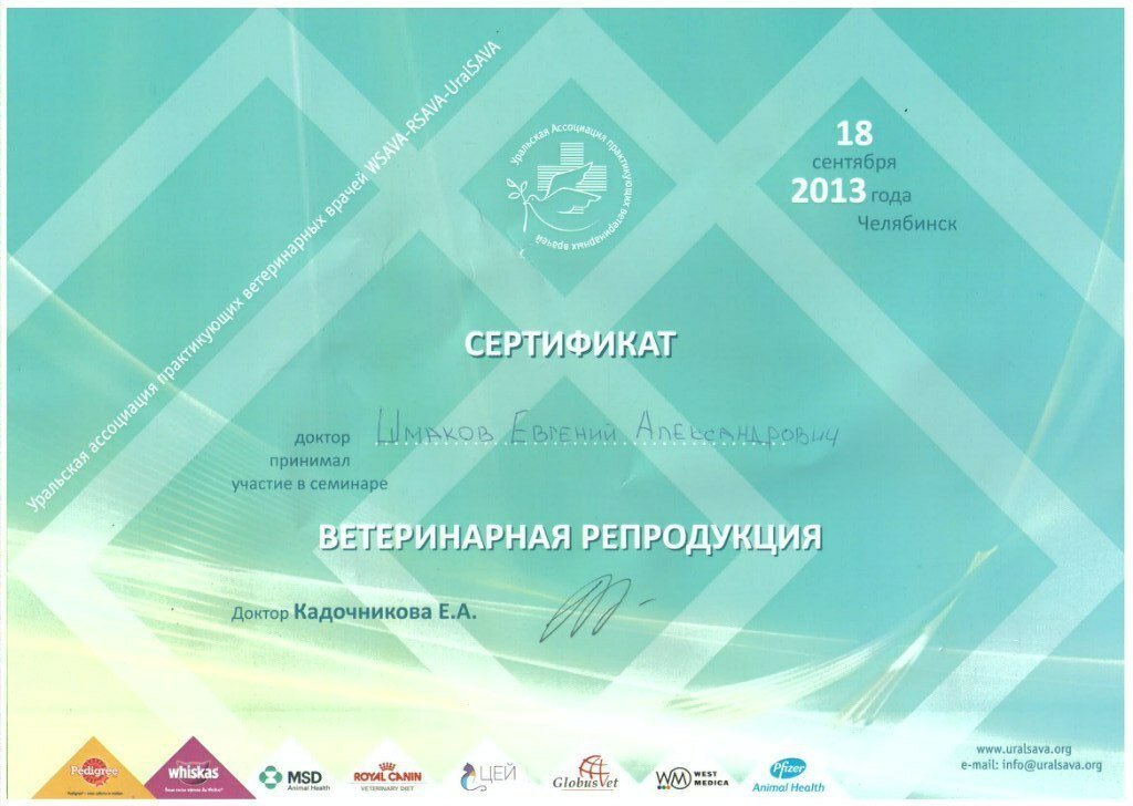 Документ или сертификат