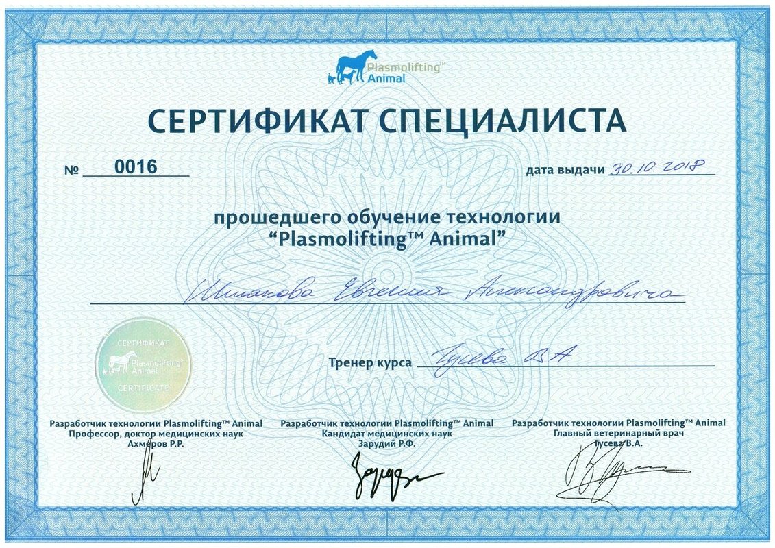 Документ или сертификат