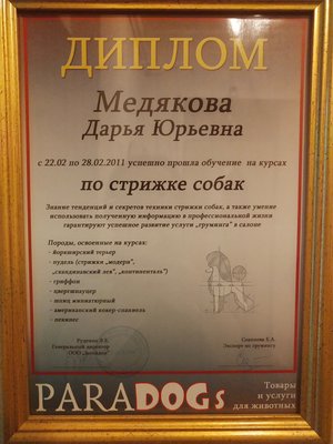 Фото «Медякова Дарья»