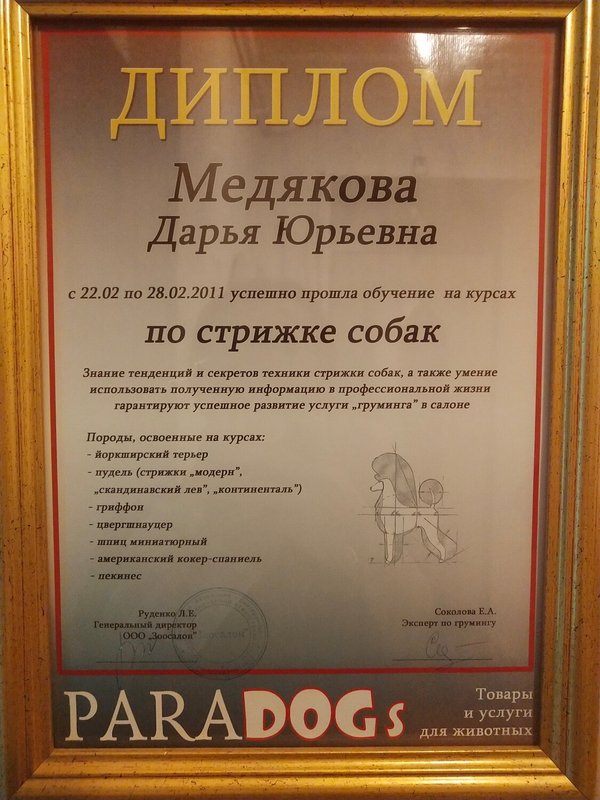 Документ или сертификат