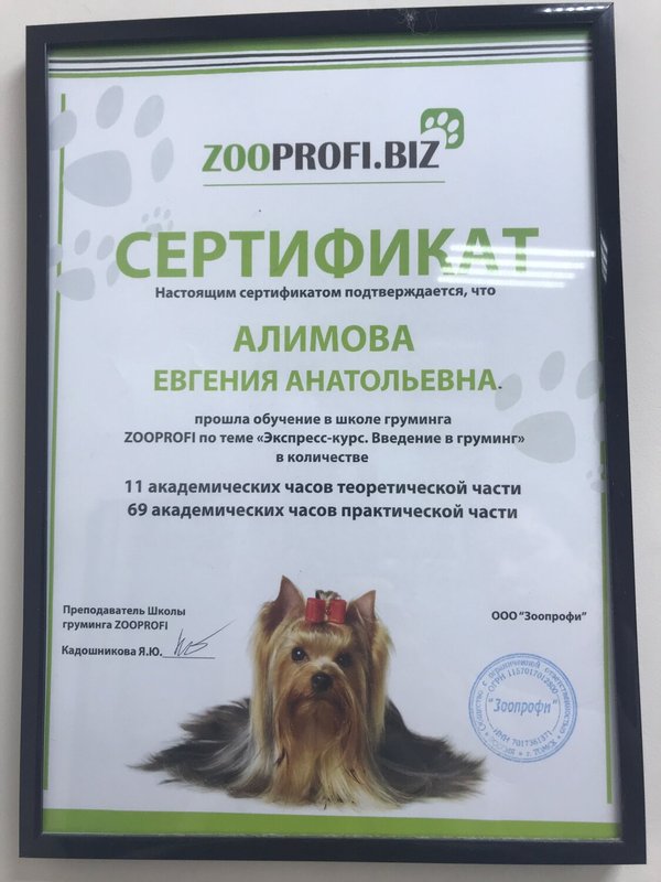 Документ или сертификат