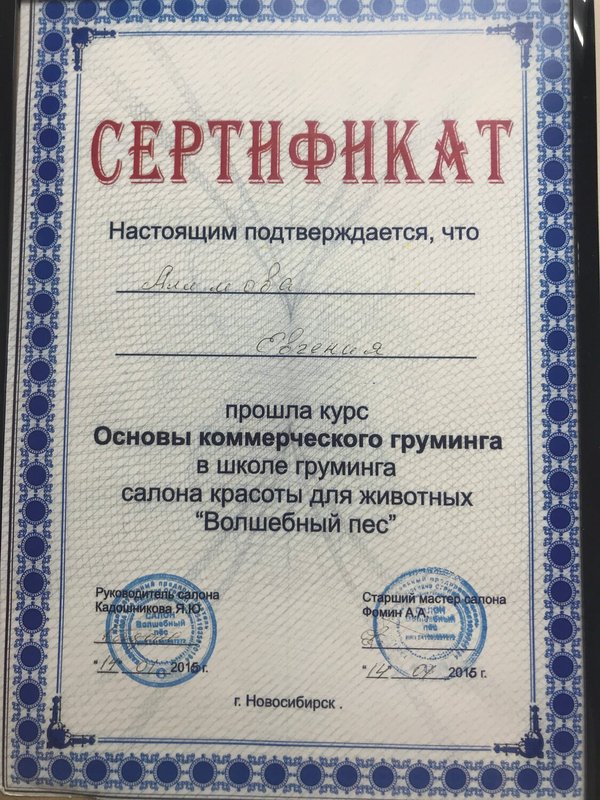 Документ или сертификат