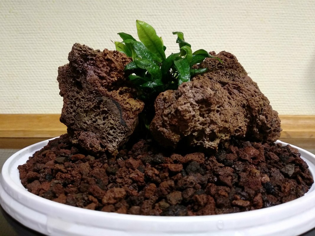 Фото врача