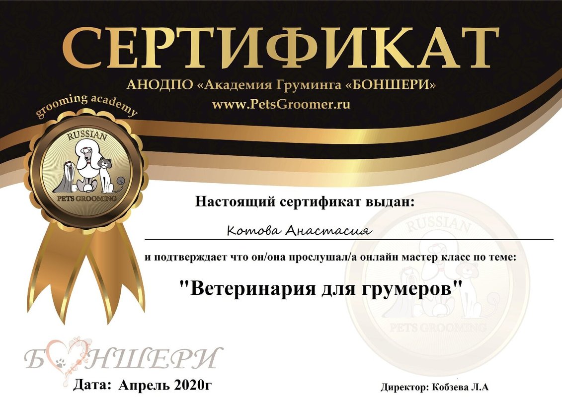 Документ или сертификат