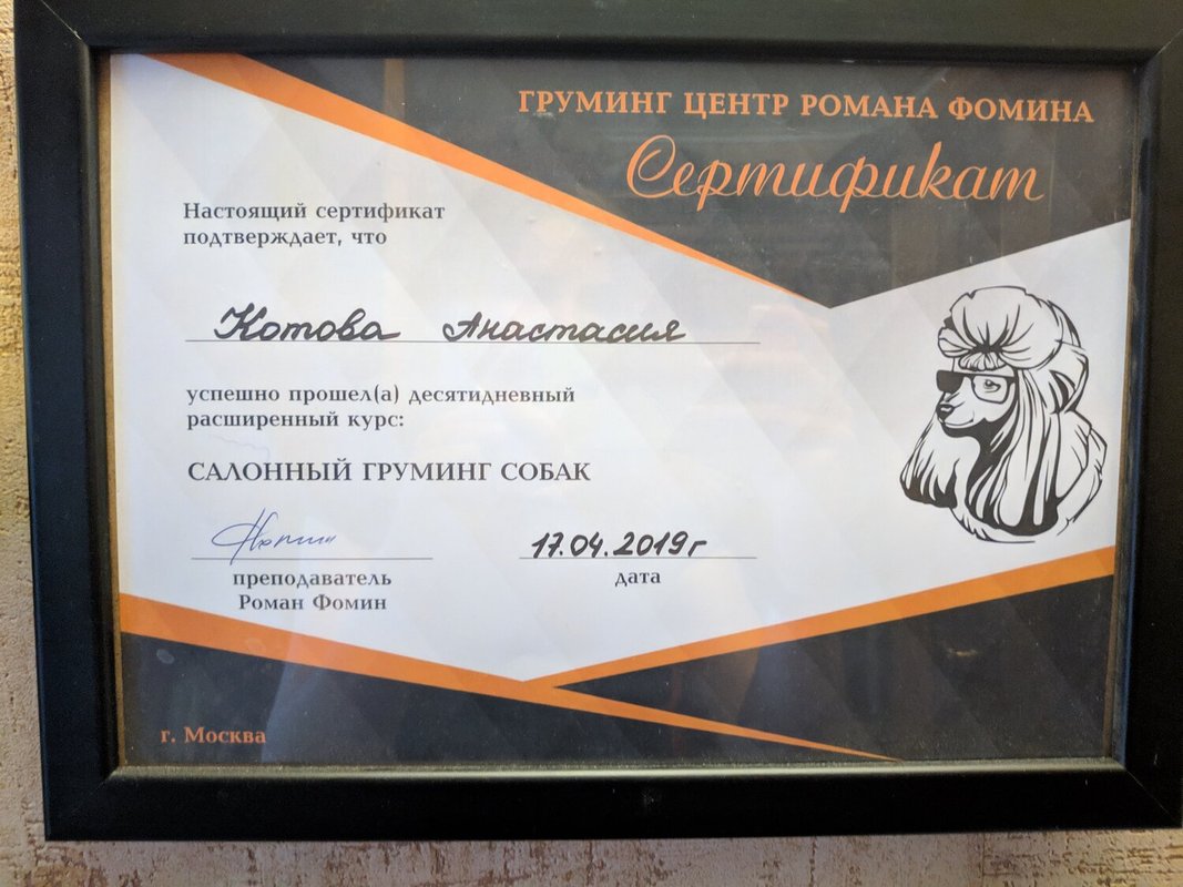 Документ или сертификат