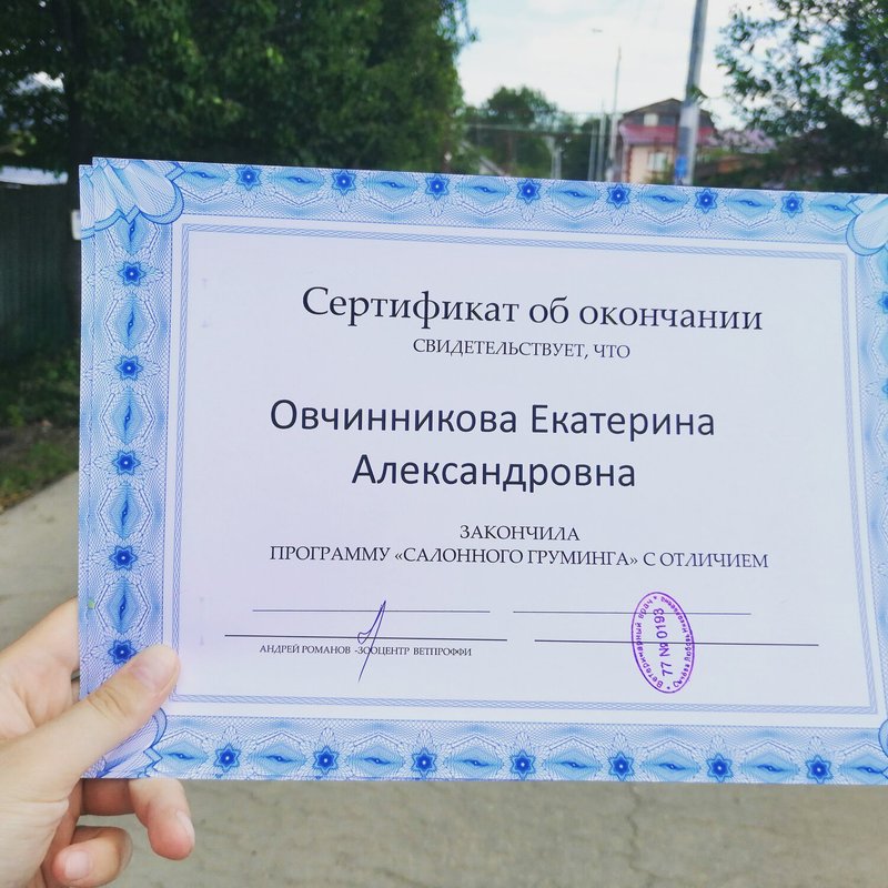 Документ или сертификат
