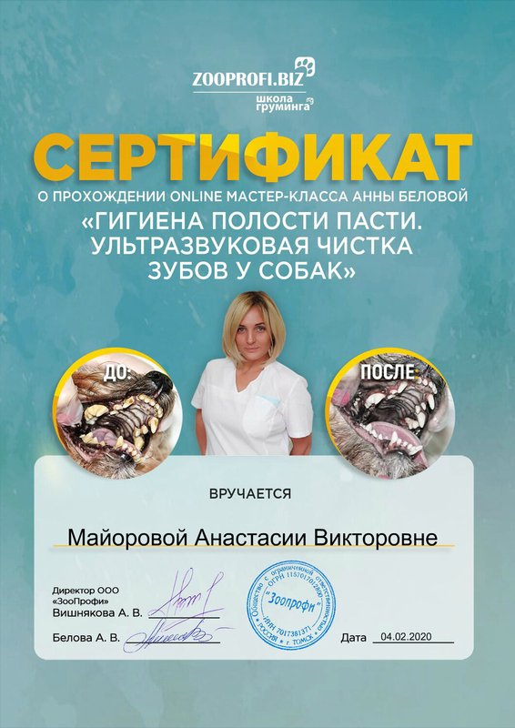 Документ или сертификат