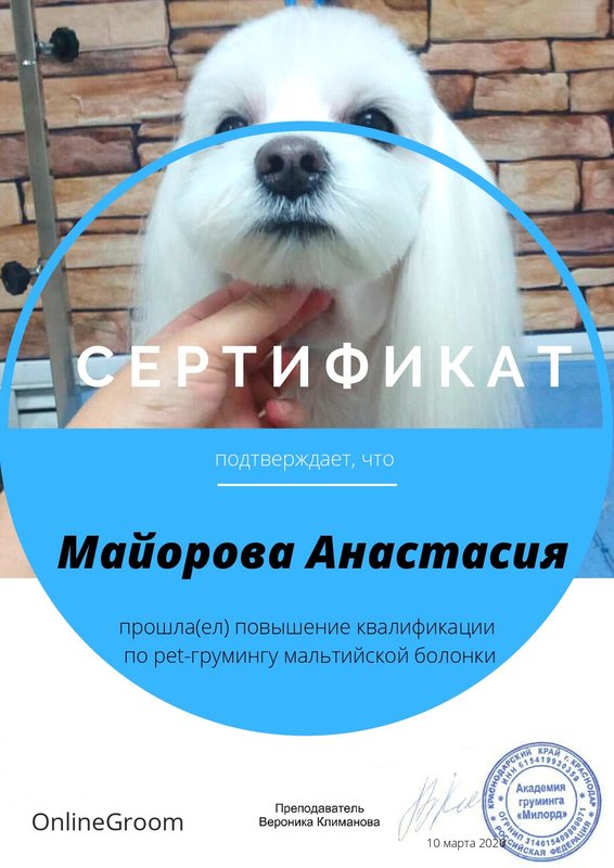 Документ или сертификат